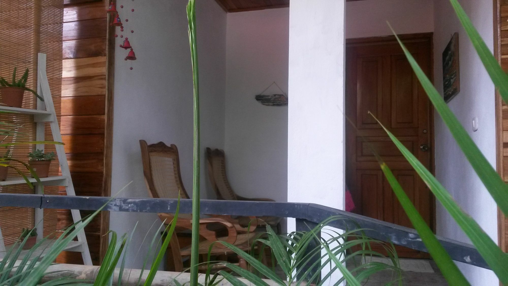 Disfrutalo Hotel Playa Santa Teresa  Bagian luar foto